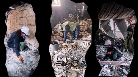 תמונת מופע: Rising from the ashes &lpar;English&rpar;